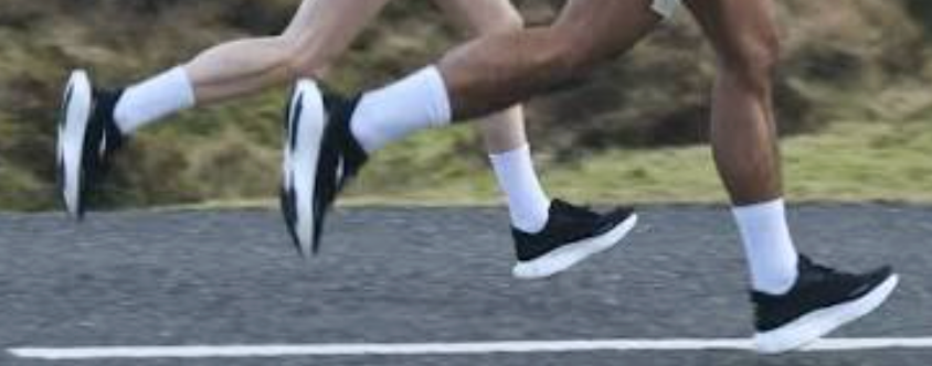 Hylo Impact Running Shoes