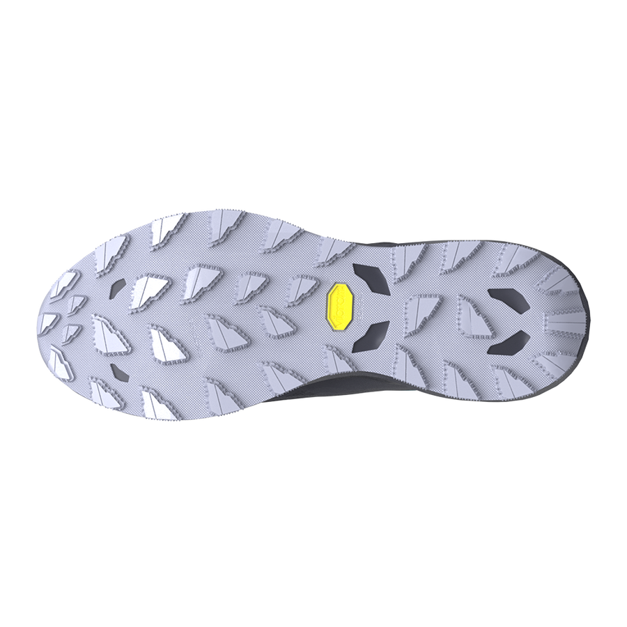 Mizuno Men's Wave Daichi 9 GTX Running Shoe