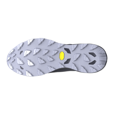 Mizuno Men's Wave Daichi 9 GTX Running Shoe